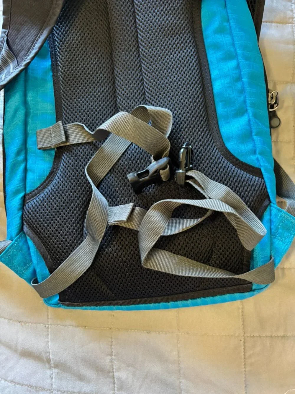 Patagonia Mini Backpack Bright Turquoise Multi Compartment Travel Stow Hip Belt